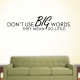 Dont Use Big Words Wall Decal