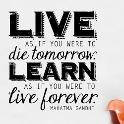 Live Learn Wall Decal