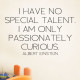 Passionately Curious Wall Decal